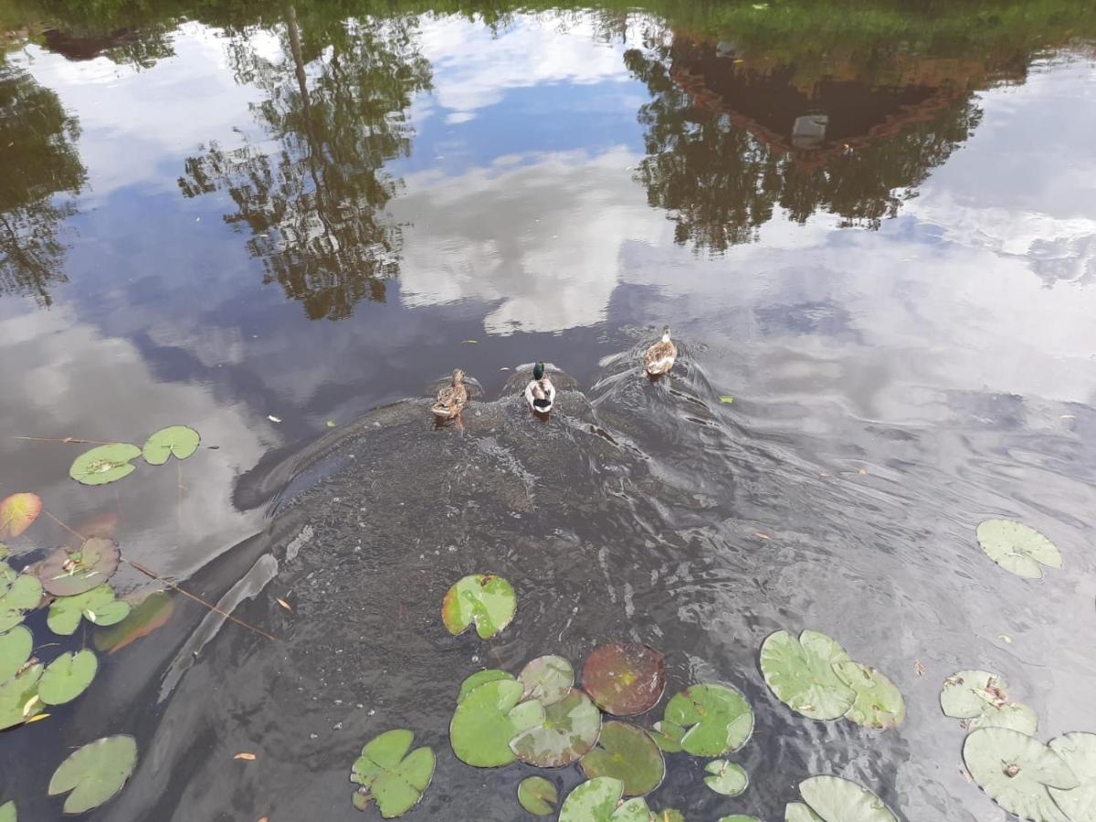 Waterhuis Friesland Oudwoude Bagian luar foto